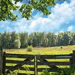 Bie Leentje Op De Wei *