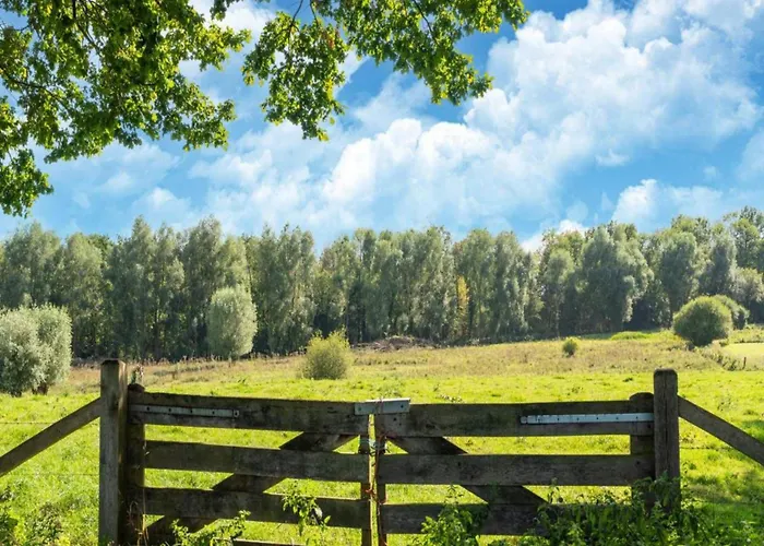 Bie Leentje Op De Wei *